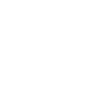 Label Solar Impulse